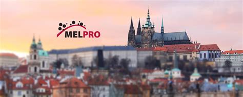 czech mega|Technological companies with worldwide reach .